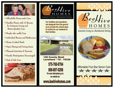 Beehive Trifold flyer 2